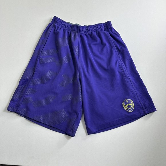 Nike Dri-Fit Mens Purple Basketball Athletic Shorts Size Large Active‎ Gym Train - Picture 1 of 5